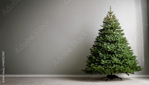 plain pine tree no ornaments blank mockup christmas holiday not decorated isolated background