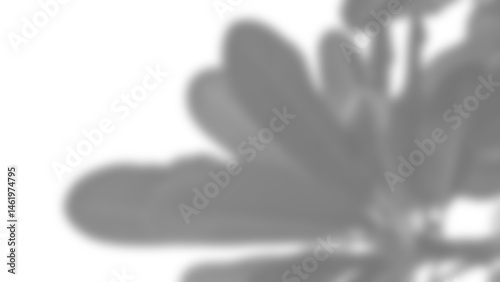 Shadow overlay of abstract leaf pattern creates soft artistic effect, perfect for background or design elements with natural touch