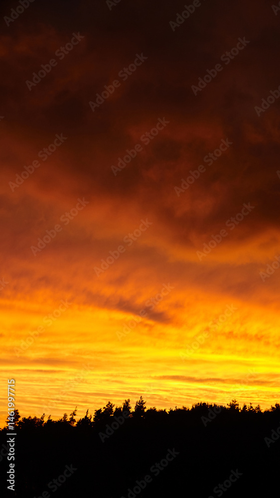 Obraz premium Vivid orange and red sunset sky above a dark tree line silhouette, featuring dramatic cloud patterns and rich gradient light across the horizon