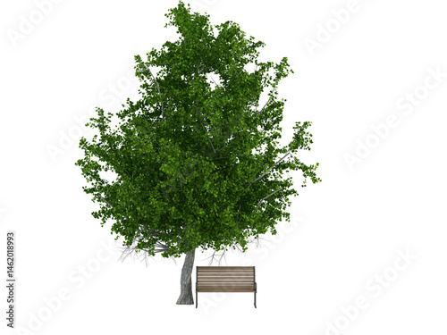 green tree on white background