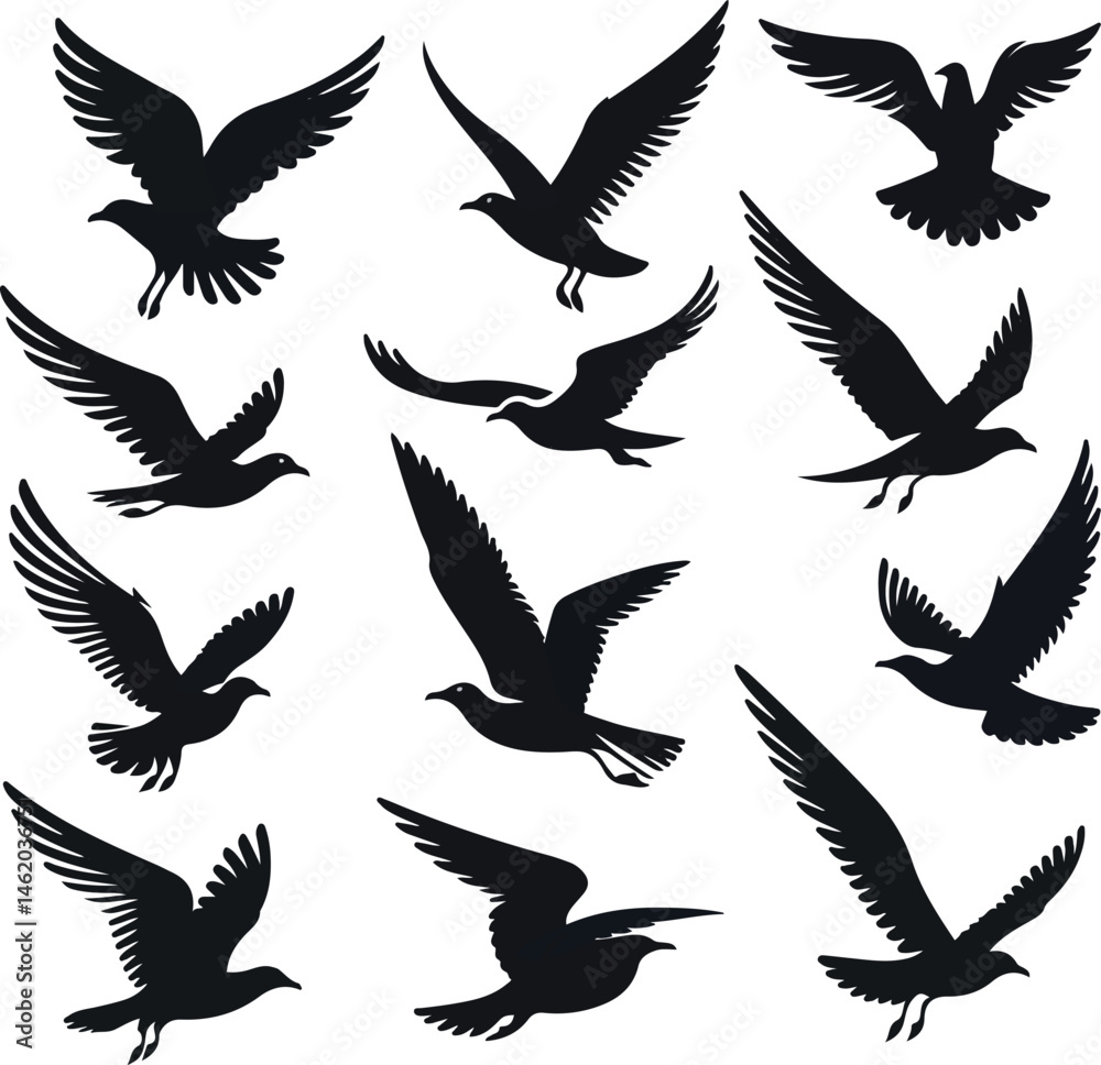 Fototapeta premium Set of seagull silhouette vectors