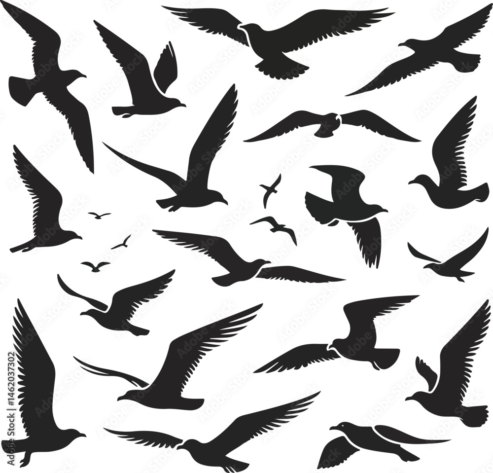 Obraz premium Set of seagull silhouette vectors