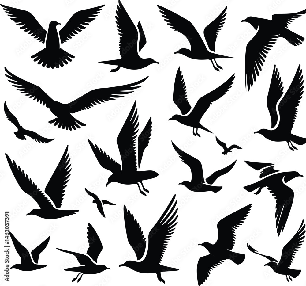 Fototapeta premium Set of seagull silhouette vectors