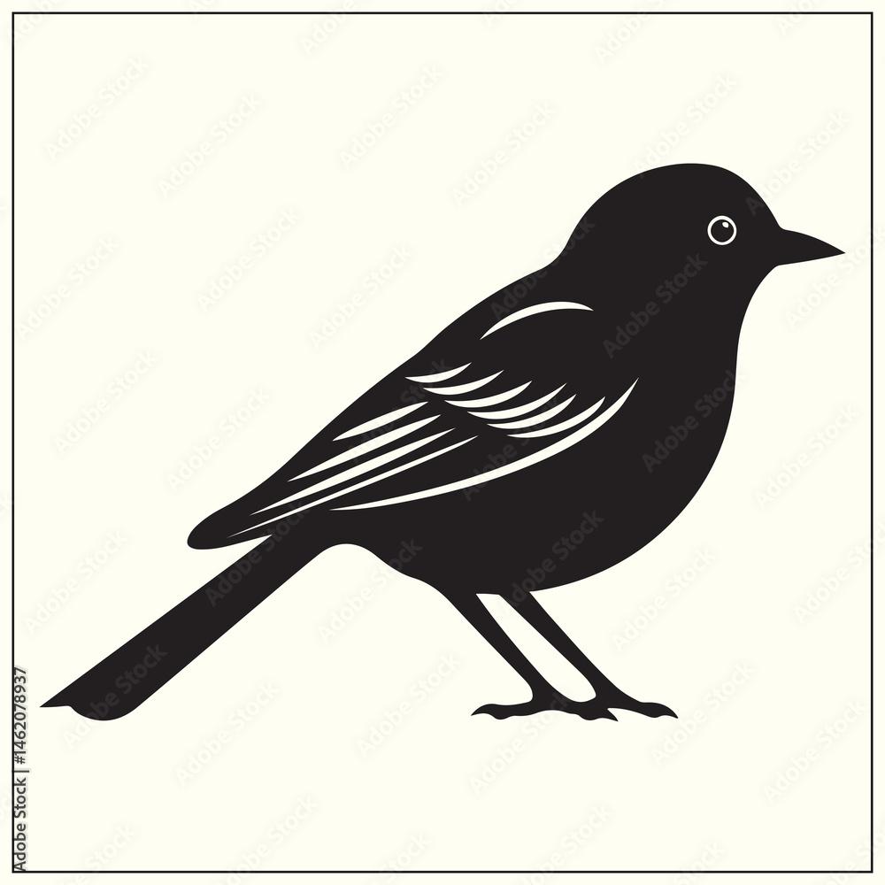 Obraz premium Bird Silhouette, Flying Creature