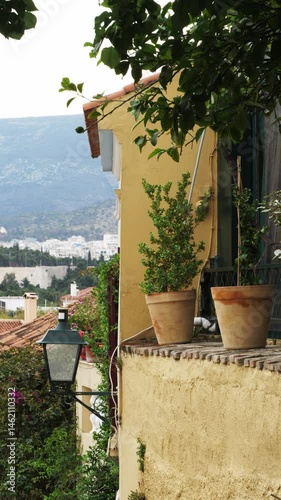 A tranquil view of a narrow street in old Athens, Greece. A flower-adorned wall adds color to the historic scene, with city rooftops and distant hills evoking the peaceful Mediterranean spirit.