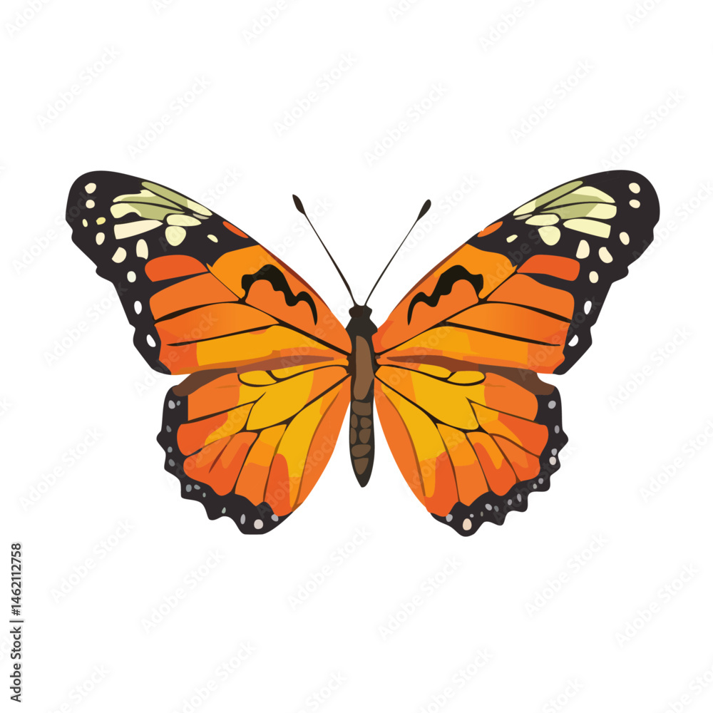 Fototapeta premium orange butterfly insect on white background vector graphic nature wildlife design