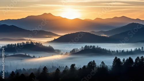 dawn peaceful wood country landscape