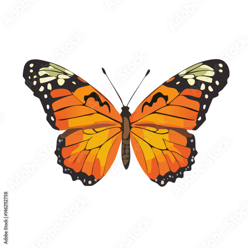 orange butterfly insect on white background vector graphic nature wildlife design