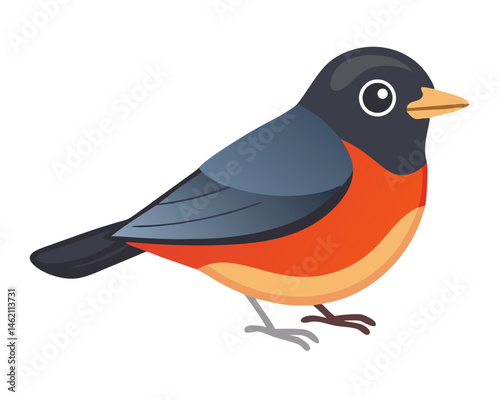 Vibrant bird with orange and black plumage perched on a branch in a natural setting during daylight