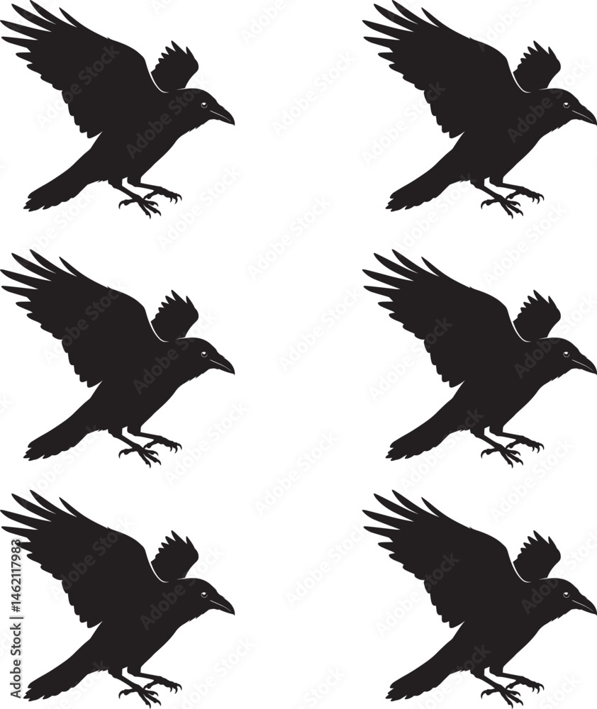 Fototapeta premium Premium vector illustration silhouette crow design on white background. 