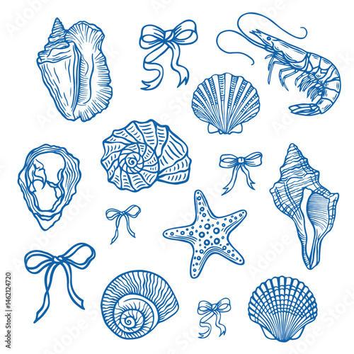 Hand drawn ocean elements isolated on white. Seashell and marine life vector set.