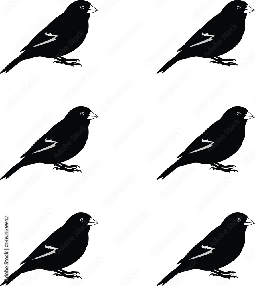 Silhouette Finch bird. Set of birds silhouettes vector illustration. 