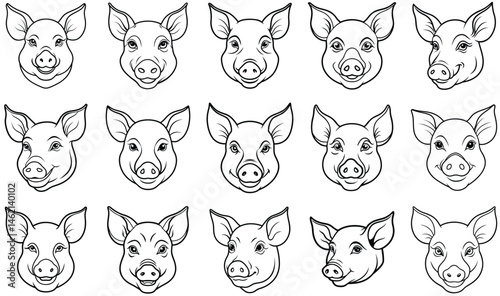 Pig head vector set 