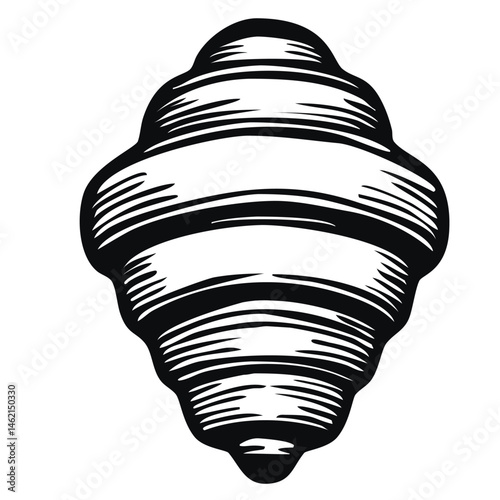 A detailed vector illustration of a seashell, showcasing its spiral shape and textured surface. The design is monochromatic, emphasizing the shell's contours and lines.