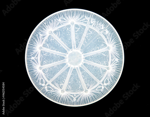 Circular Light Pattern With Geometric Wheel Design