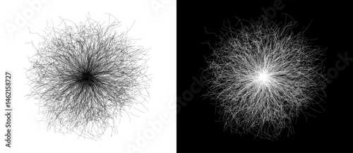 Abstract background with lines in chaos like fireworks. A black figure on a white background and the same white figure on the black side.