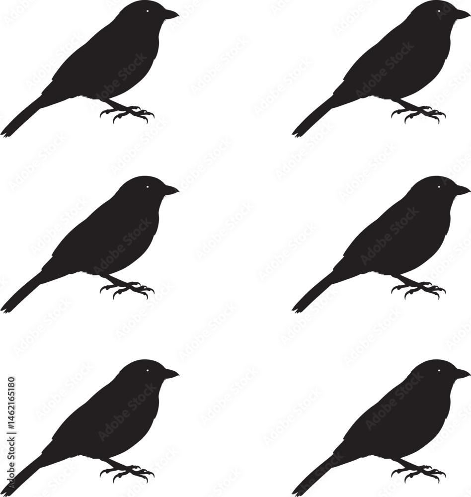 Fototapeta premium Premium vector set of tanager birds silhouettes illustration. 