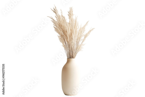 Cream Vase with Pampas Grass Bouquet on Transparent Background