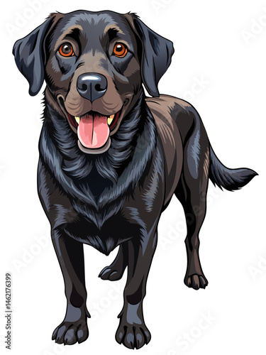 perfact Labador ,full body , full color  , realistic , white background