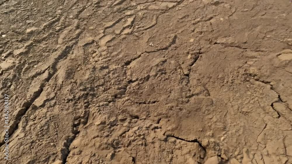 Macro Mud Cracks Drying From Wet Soil Drought Timelapse Macro Mud Cracks Drying From Wet Soil Drought Timelapse