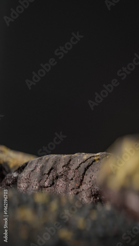 Bottle of perfume is shown on a rocky surface. The bottle is black and has a black cap. The bottle is placed on a rock, and the rock is surrounded by other mossy rocks. Premium photo 3d render.