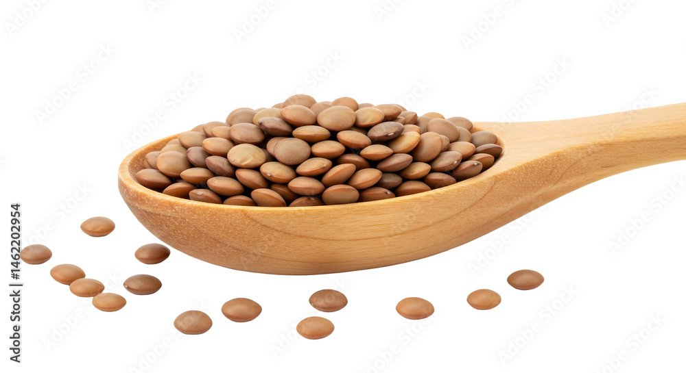 Brown lentils in a wooden spoon. Healthy food.