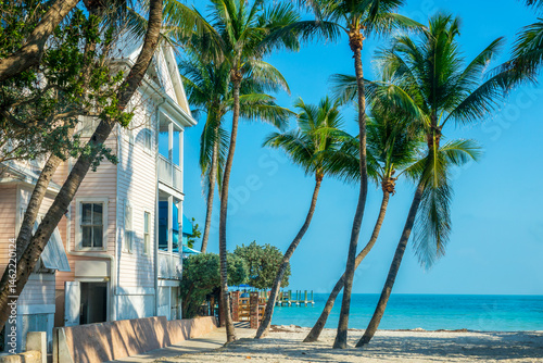 Fototapeta Naklejka Na Ścianę i Meble -  House with view on the ocean, palm trees on the beach, scenic landscape in Key West, Florida