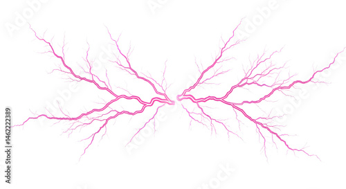 Obraz na płótnie Pink fractal art resembling a branching network or a stylized tree. w salonie
