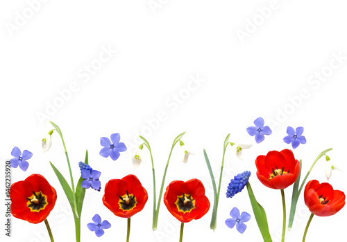 Vibrant red tulips and delicate blue and white spring flowers create a stunning floral arrangement.