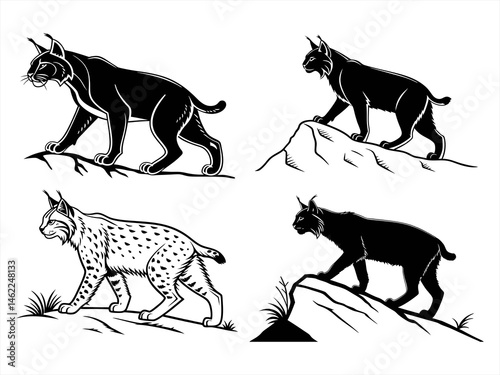 bobcat sihouette black vector bundle