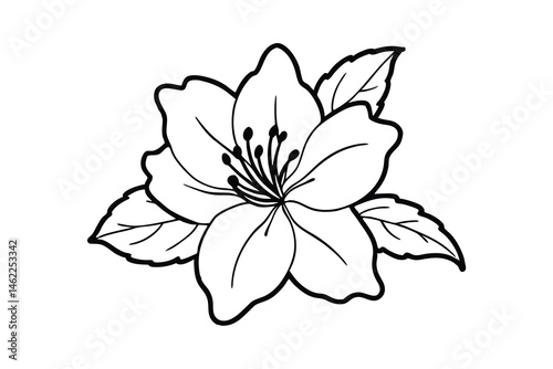 azalea flower minimalist silhouette vector isolated on white background