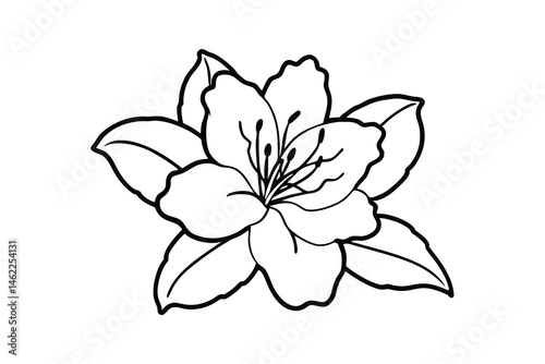 Azalea Vector Silhouette, Azalea flower vector icon isolated on a white background
