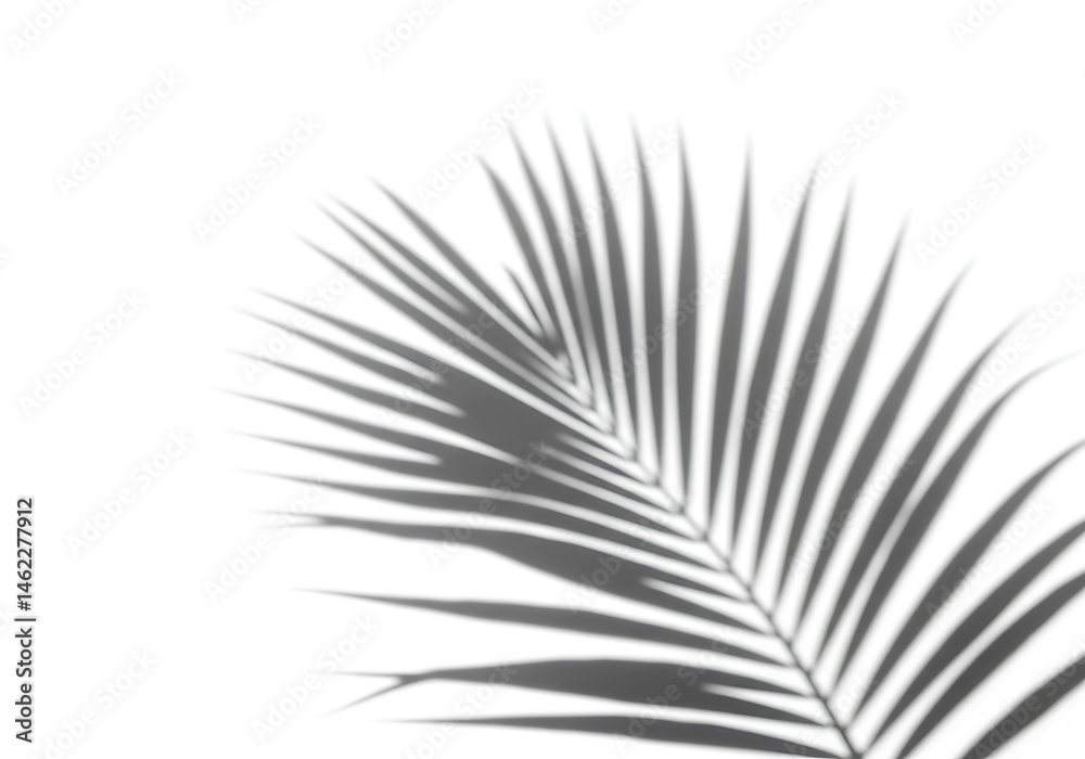 Fototapeta premium Shadow of a palm leaf on a white background creating a minimalist and tropical aesthetic scene view