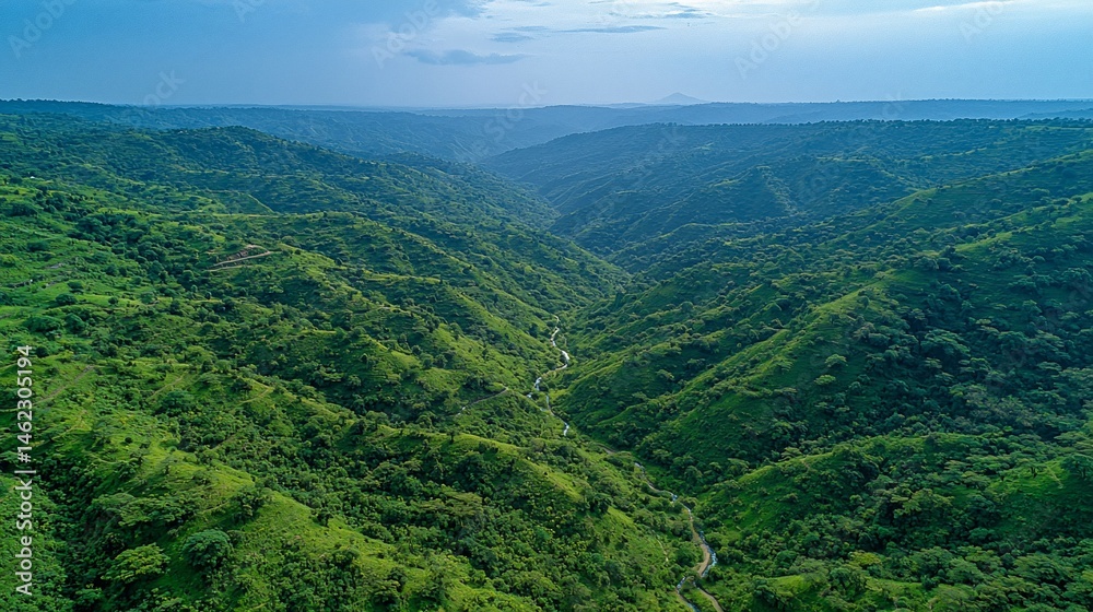Fototapeta premium Lush valley cuts through verdant hills
