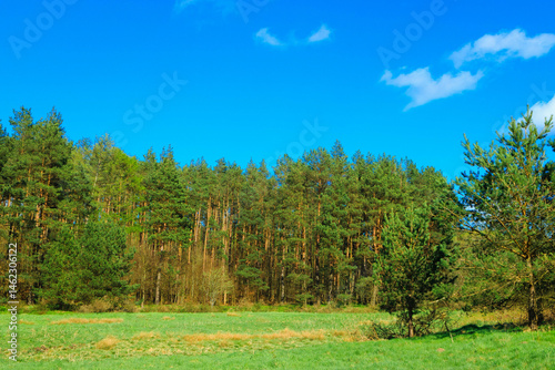 Obraz na płótnie Idyllic green meadow in Northern Poland. Kashubia. w salonie