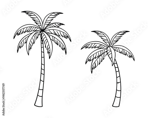 Two palm trees on a tropical island in a outline drawing form