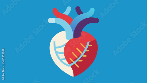 Human Heart with Genetic Code An anatomical heart with a genetic code spiraling around it symbolizing the connection between genetics and heart health.
