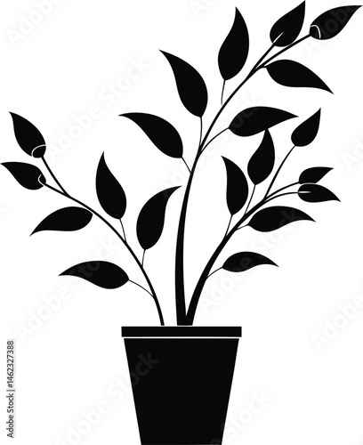 House plant in pot silhouette, House plant in a pot doodle outline, Potted plant line art vector illustration