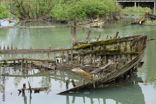 Bow of th sunken old ship called BURCIO or BURCHIO in italian language in BURCI CEMETERY  a suggestive place in the bend of the river SILE in Italy with wrecks of very old sunken wooden boats 