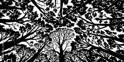 Black and White Silhouette of Trees Viewed from Below