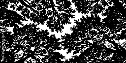 Black and White Silhouette of Lush Tree Canopies Overhead