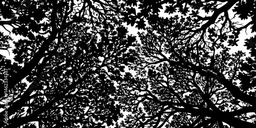 Abstract Black and White Tree Canopy Silhouette Pattern