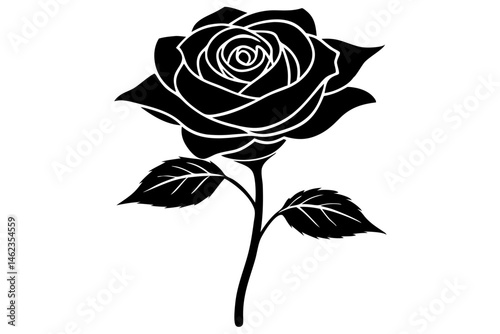 Elegant single rose silhouette with fully bloomed flower featuring details, rose, flower, silhouette, black, vector, floral, plant, blossom, bloom, design, isolated, nature, art, garden, single
