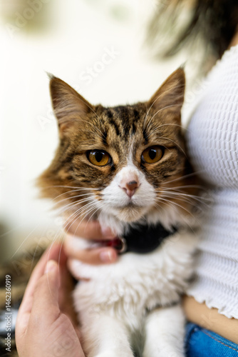 Young woman embracing her lovely fluffy kitten at home