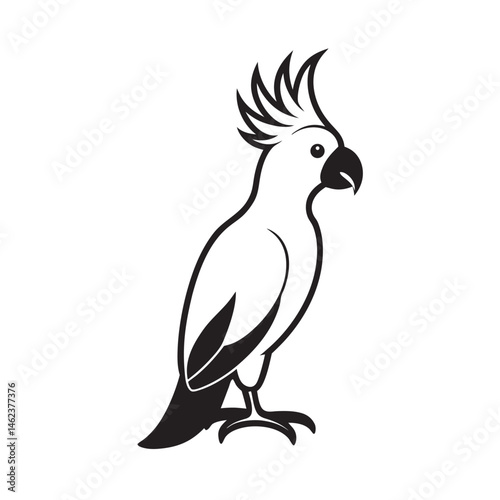 Cockatoo Raising Crest And Standing Tall Pose