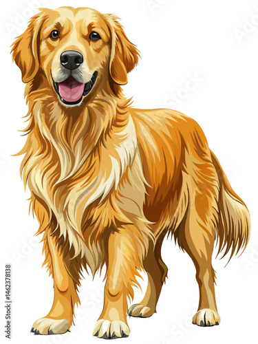 Golden retriever ,full body , full color  , realistic , white background