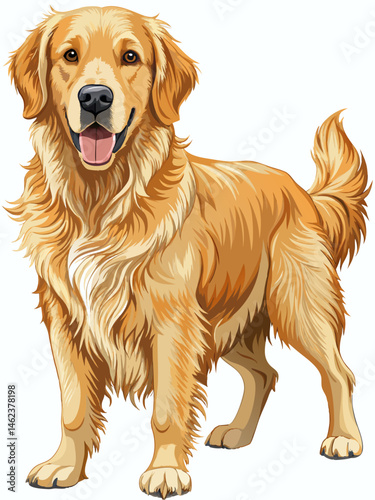 Golden retriever ,full body , full color  , realistic , white background