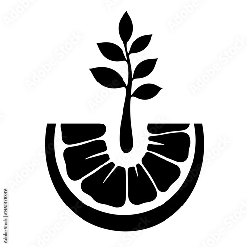 Silhouette of Plant Cross Section with Leaf, Black and White, Botanical Diagram