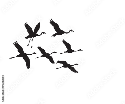 Greater Flamingo Flock In Flight Black Silhouette
