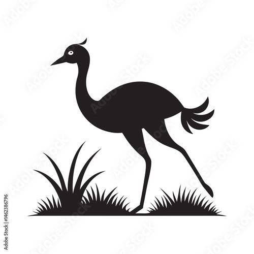 Rhea Running Across Grassland With Long Legs
